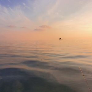 Meet your Posher, Kevin